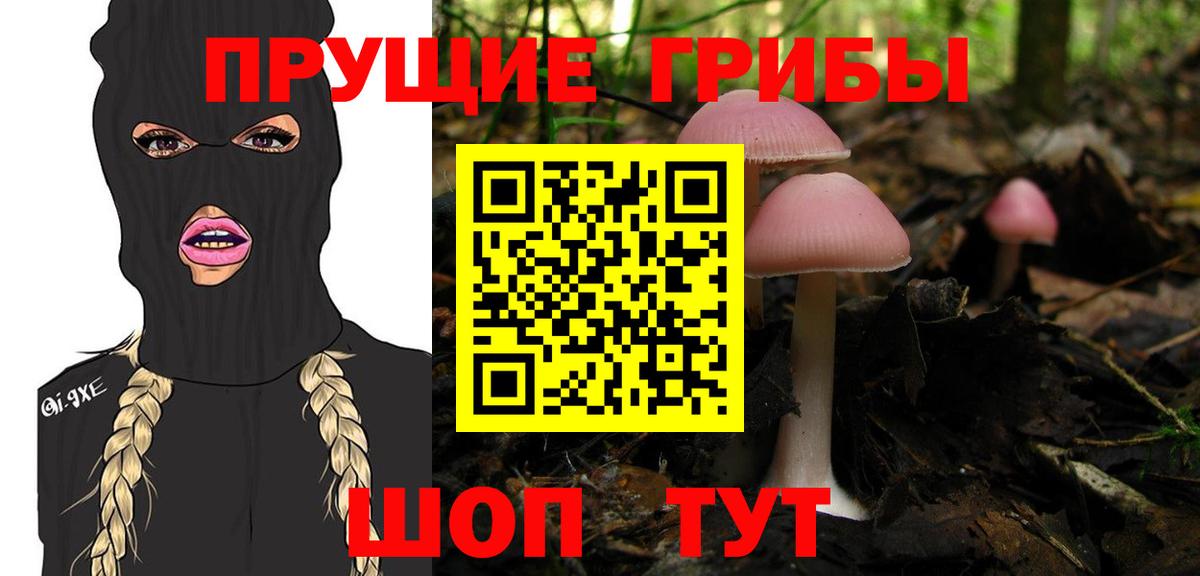 Псилоцибиновые грибы Magic Shrooms  Вход с VPN  Мурманск 